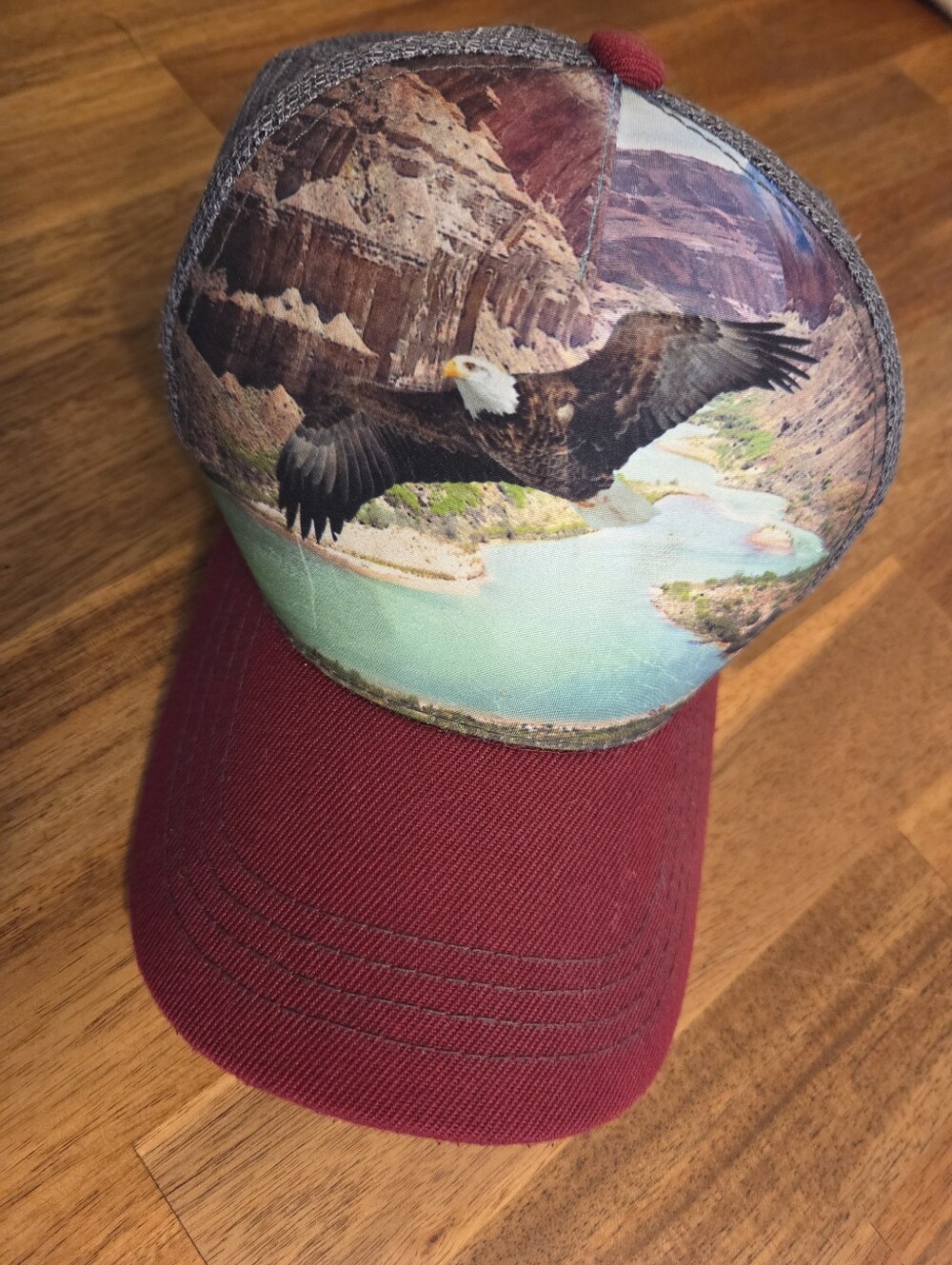 Flying Eagle Mountains Canyon Graphic Snap Back Trucker Hat